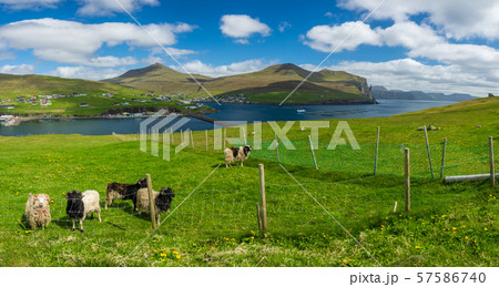 Faroe Islands, Sandavagur wide panorama with fish farms 57586740