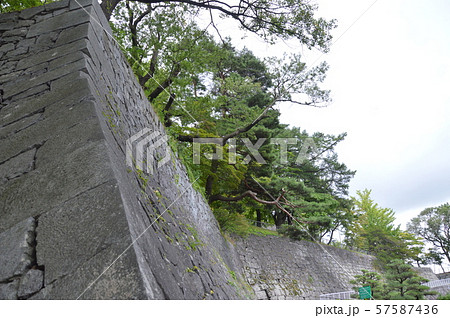 盛岡城の石垣（盛岡城跡公園(岩手公園)／岩手県盛岡市内丸1-37） 57587436