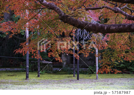 京都 大河内山荘 紅葉 京都 大河内山荘 紅葉 57587987