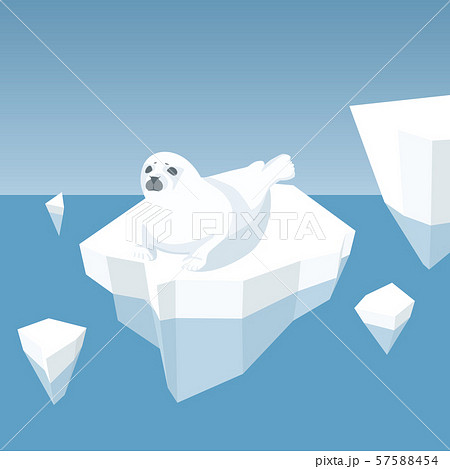 Melting Iceberg And Fur Seal 57588454