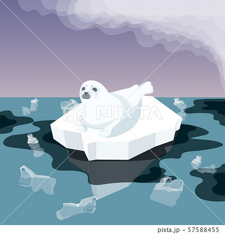 Melting Iceberg And Fur Seal 57588455