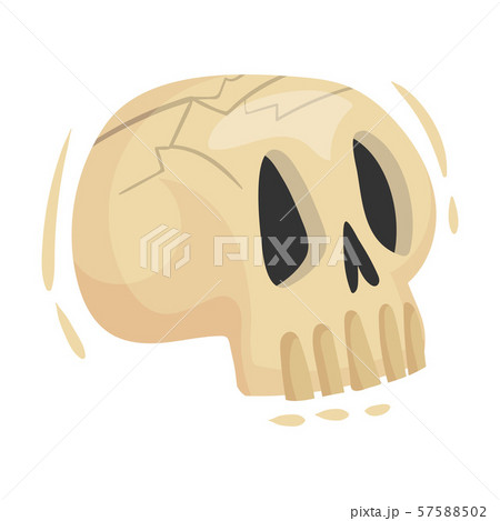 White human skull. Vector illustration on a white background. 57588502