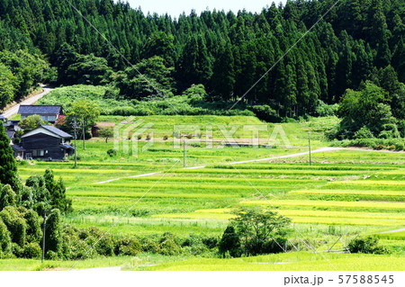 田園風景 田園風景 57588545