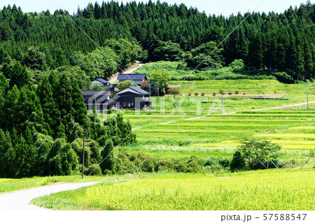 田園風景 57588547