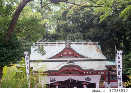 来宮神社 57588950