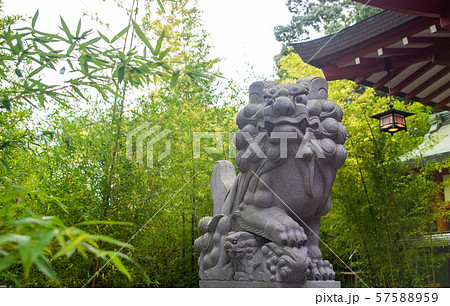 来宮神社 57588959