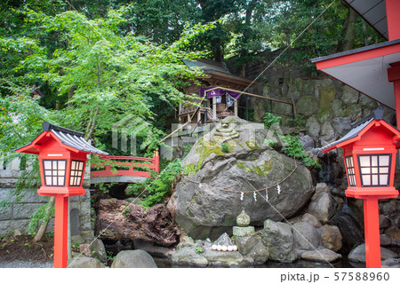 来宮神社 来宮神社 57588960