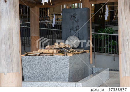 東郷神社 57588977