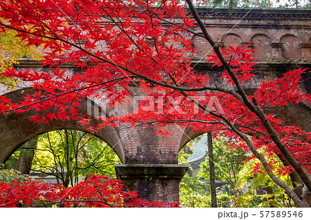 紅葉の南禅寺 紅葉の南禅寺 57589546