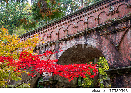 紅葉の南禅寺 紅葉の南禅寺 57589548
