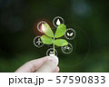 Concept of love, ecology world To sustainability 57590833