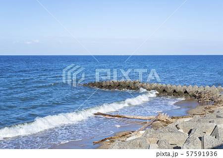 【自然災害】台風後、浜辺に打ち上げられた流木　流木拾い 57591936