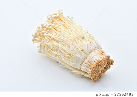食材、えのき茸／えのき／エノキ／エノキダケ／榎茸、きのこ。 57592495