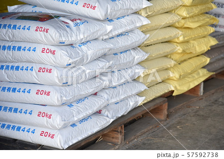 レタス栽培 / 家庭菜園 57592738