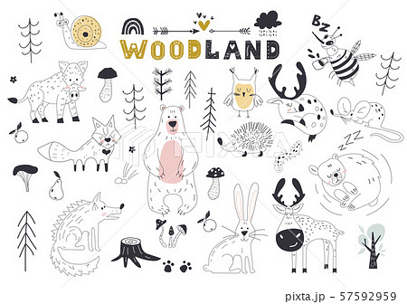 The linear vector children illustration set of cute forest animals. 57592959