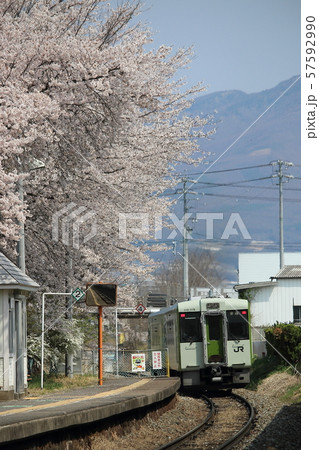 春の小海線キハ110系気動車/長野県佐久市 春の小海線キハ110系気動車/長野県佐久市 57592990