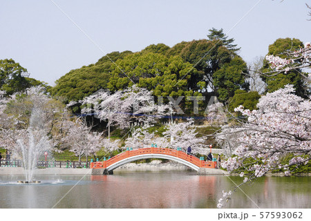 福岡 福岡 57593062