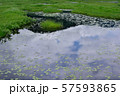 夏の尾瀬ヶ原にて 57593865