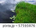夏の尾瀬ヶ原にて 57593876