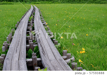夏の尾瀬ヶ原にて 夏の尾瀬ヶ原にて 57593888