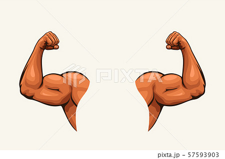 Human Hands Biceps On Whiteのイラスト素材