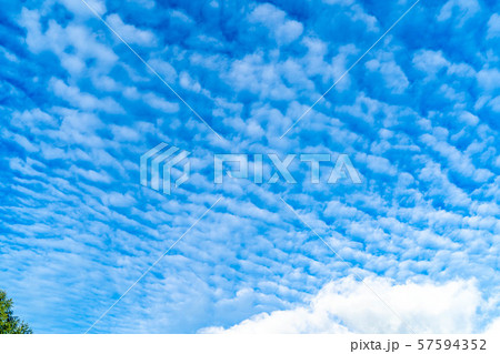 うろこ雲 いわし雲 さば雲 長野県 の写真素材