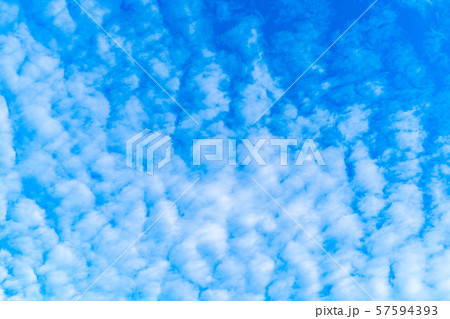 うろこ雲 いわし雲 さば雲 長野県 の写真素材