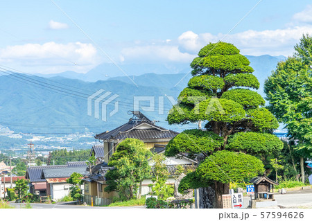 光前寺3616 光前寺3616 57594626