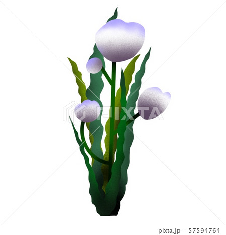 芍薬 花 花束 花屋 花瓶 白い花 素材 青い花 植物 観葉植物 庭 ガーデニングのイラスト素材