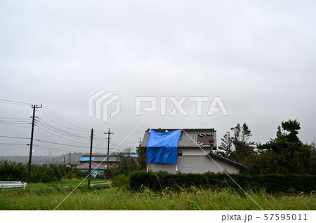 千葉県の台風15号被害 2019年9月 千葉県の台風15号被害 2019年9月 57595011