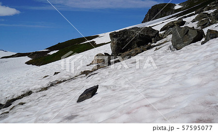 氷河 アラスカ Seward アメリカ 79 氷河 アラスカ Seward アメリカ 79 57595077
