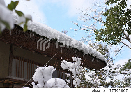 冬の景色 冬の景色 57595807