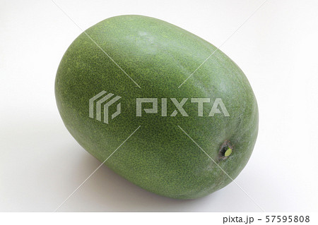 冬瓜 冬瓜 57595808