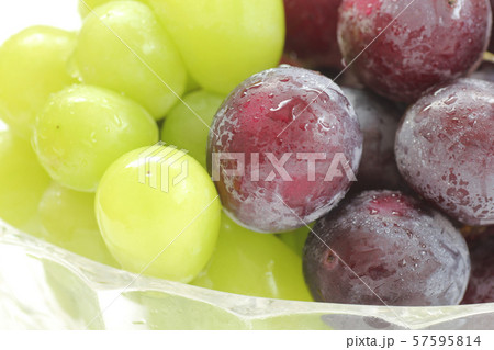 ぶどう（巨峰・シャインマスカット） 57595814