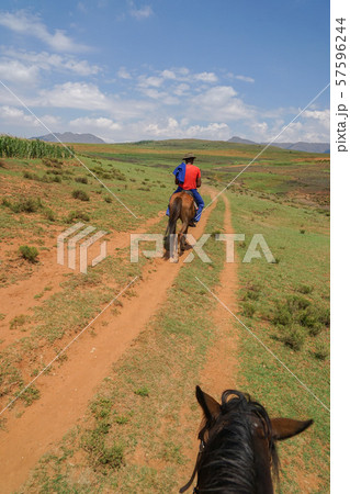 乗馬 57596244