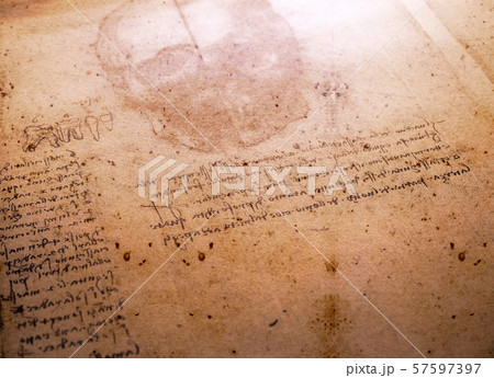 Anatomy Art Drawing 57597397