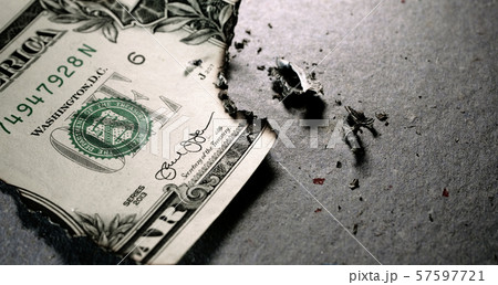 Burnt Dollar Close up Burnt Dollar Close up 57597721