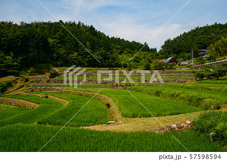棚田の風景 57598594