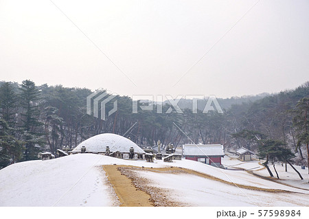 ヤングニョンルン 驪州市 京畿道 57598984