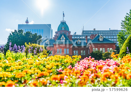北海道の夏 赤れんが庁舎 (北海道庁旧本庁舎) 57599626