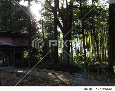 茨城県久慈郡の近津神社 茨城県久慈郡の近津神社 57599888