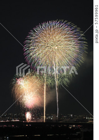 戸田橋花火大会（2019年） 57599961