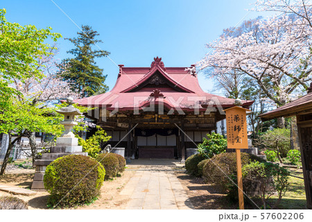 宗吾霊堂 鳴鐘山東勝寺 薬師堂 春 桜 （千葉県成田市） 2019年4月撮影 57602206