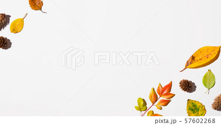 Autumn leaves from above 57602268