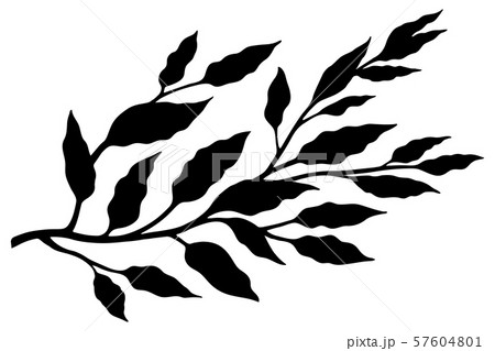 Tree branch with leaves sketch Tree branch with leaves sketch 57604801
