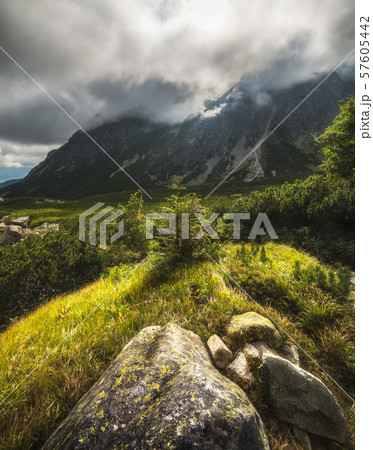 Sunlit Mountain Landscape with Plants and Rocks. 57605442
