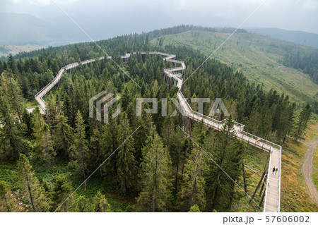 Wooden path among the trees with view on Tatra montains, named "Chodník korunami stromov" , Zdziar, Slovakia, Wooden path among the trees with view on Tatra montains, named "Chodník korunami stromov" , Zdziar, Slovakia, 57606002