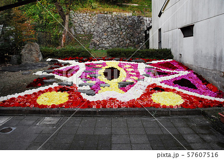 宇陀市松山地区の宇陀松山華小路 57607516