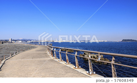 走水（春） 57608349