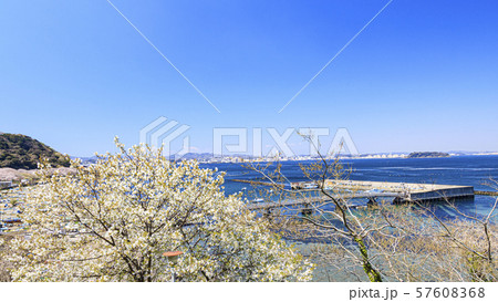 走水(春) 走水(春) 57608368